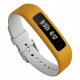 iFit Vue